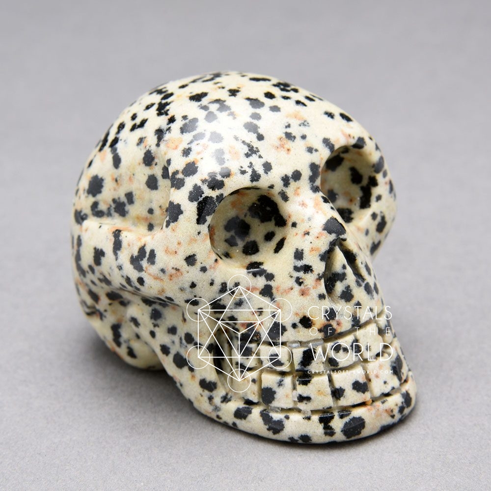 Dalmatian Jasper-Skulls