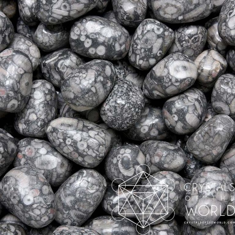 Fossil Jasper Tumbled Stone Crystals of the World