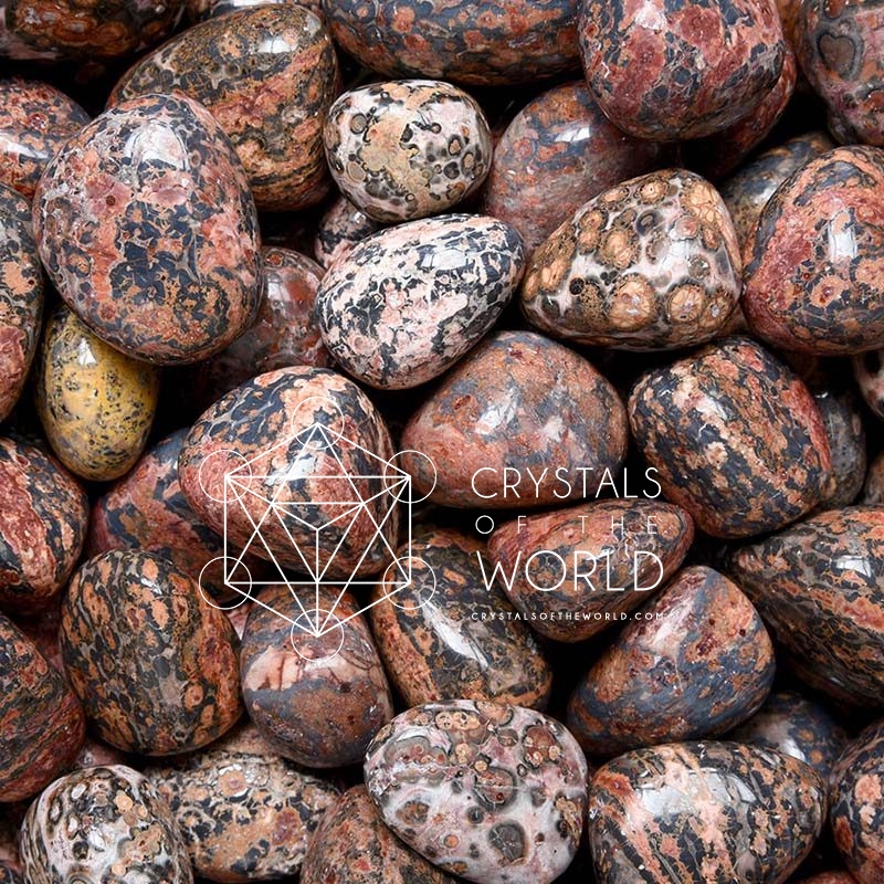 Leopardskin Jasper-Tumbled Stone